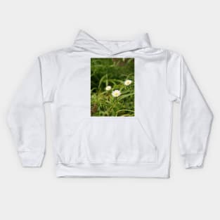 Oxeye Daisy - Moon Daisy flowers Kids Hoodie